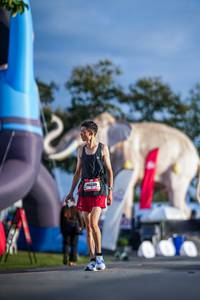 BIB: 
                            <button type="button" onclick="openModal(26541498)" class="btn btn-primary btn-sm float-right btn-popup" data-toggle="modal" data-target=".modal-high-quality">
                        <i class="fas fa-shopping-cart"></i> Add to Cart
                    </button>
                                            <button type="button" onclick="isThisMe(26541498, true)" class="btn btn-success btn-sm float-right btn-popup btn-isme hidden" data-toggle="tooltip" data-placement="bottom" title="นี่คือรูปของคุณใช่ไหม คลิกที่นี่เพื่อเอาเข้าอัลบั้ม">
                        <i class="fas fa-plus"></i> Add to album
                    </button>
                    <button type="button" onclick="isThisMe(26541498, false)" class="btn btn-warning btn-sm float-right btn-popup btn-isnotme hidden">
                        <i class="fas fa-ban"></i> Remove from album
                    </button>